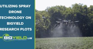 Utilizing Spray Drone Technology on BigYield Research Plots