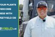 Help Your Plants Overcome Stress with BigSweetYield DB