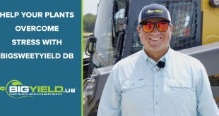 Help Your Plants Overcome Stress with BigSweetYield DB