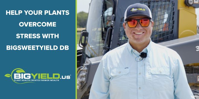 Help Your Plants Overcome Stress with BigSweetYield DB