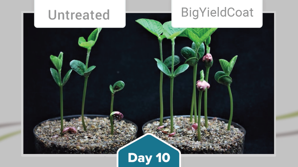 BigYieldCoat Soybean Comparison