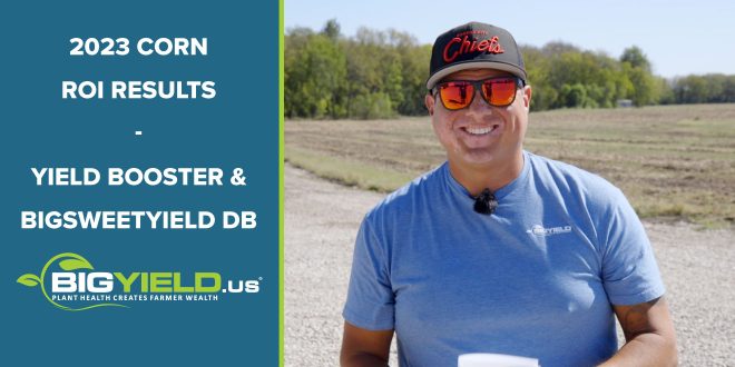 2023 ROI Results Yield Booster and BigSweetYield DB