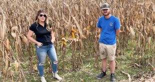 Michael Savage Discusses Using BigYield Products on His Corn