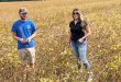 Michael Savage Discusses Using BigYield Products on His Soybeans